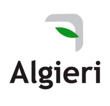 Algieri